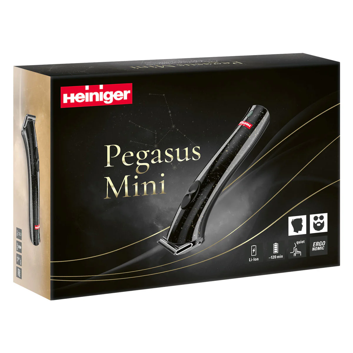 Miniatuur 6